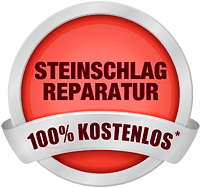 Steinschlag Autoglas Reparatur